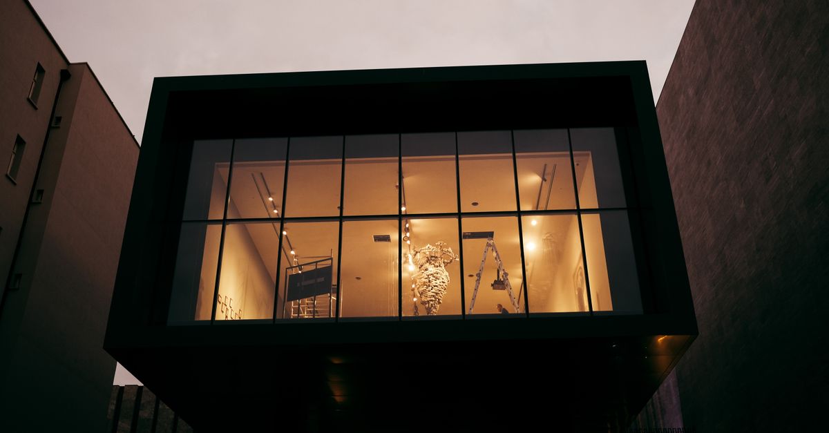 découvrez notre écran de plafond interactif, une solution innovante pour capter l’attention et offrir une expérience immersive unique dans tous vos espaces.