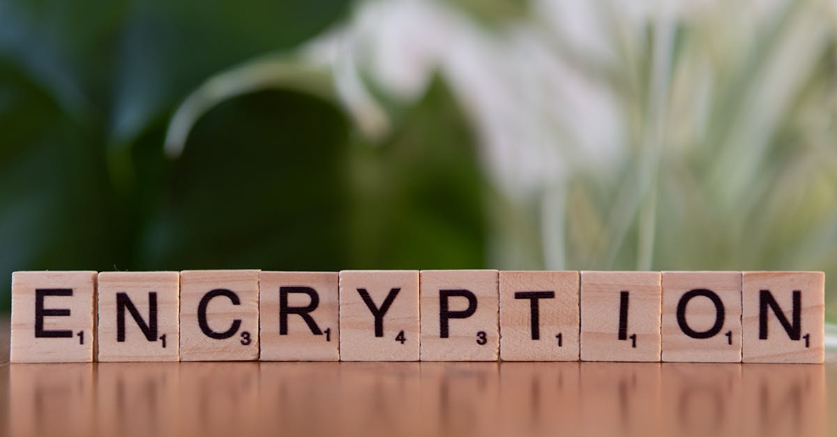 découvrez les vulnérabilités de sécurité courantes, comment les identifier et les prévenir pour protéger vos systèmes et données contre les cyberattaques.